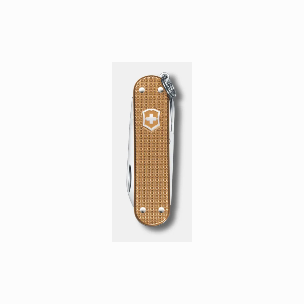 Alox (marron)-La Régence