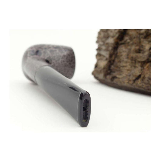 Reptile spécial 1601-La Régence